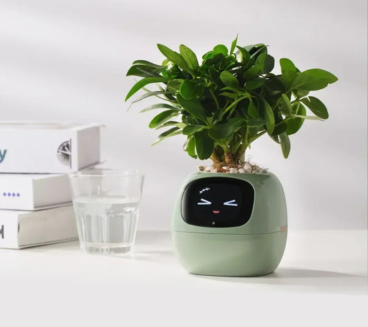 Smart Plant & Flower Planter Pot For Home Or Office